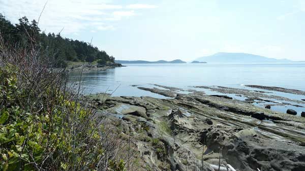 Enjoy a trip out to Patos Island.