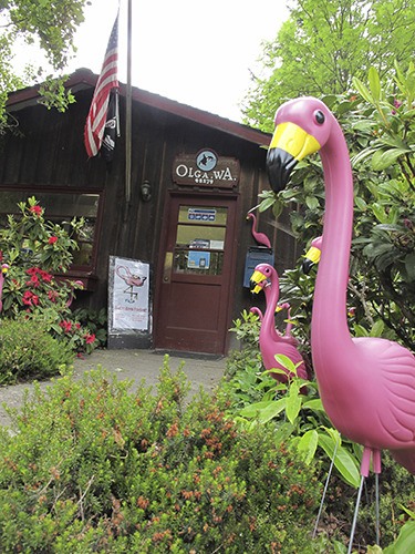Right: The flamingo flock in Olga.