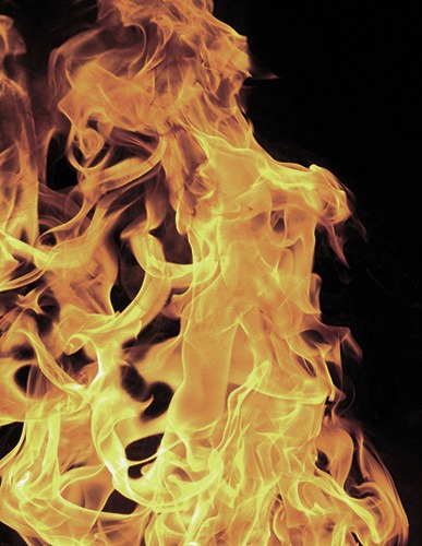 Protect your home from wildland fire