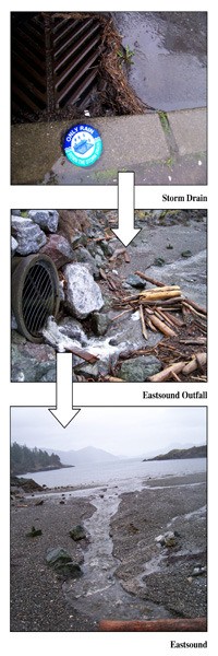 When a rain drop falls in Eastsound it will most likely end up going into a storm drain like the one in this picture.