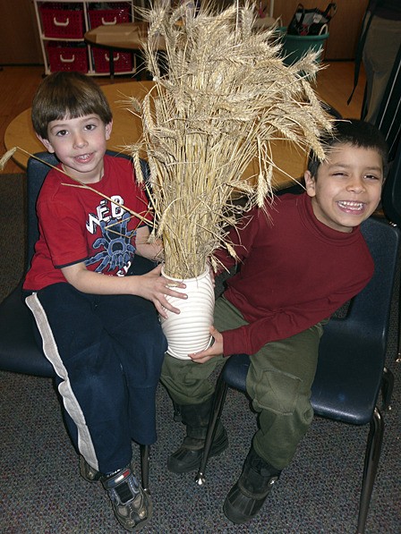 Students in last year's Farm to Classroom program learned about wheat.
