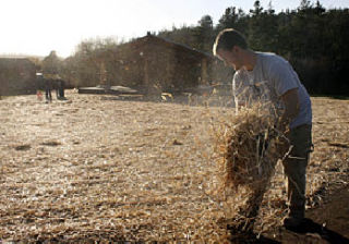 Kyle Wahlberg of Orcas Excavators spreads straw across the grounds of the Village Green in Eastsound Tuesday. The firm was commissioned to resurface the popular green.
