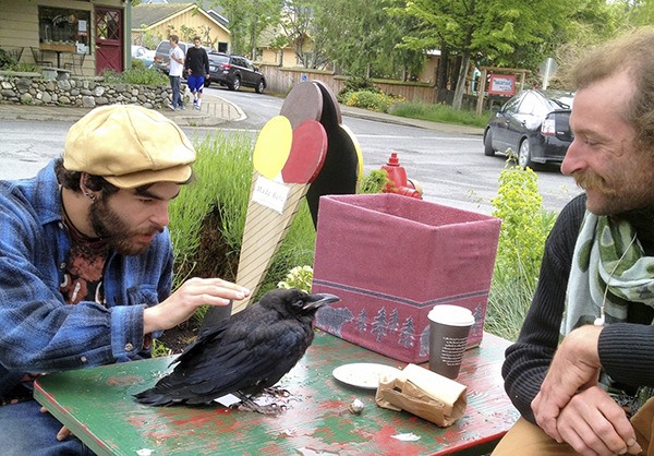 Terri Kaplan took the photo of a local crow enjoying coffee and conversation.