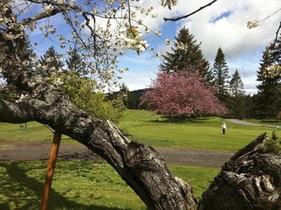 The Orcas Island Golf Course is offering a full membership and discounts on carts and the driving range
