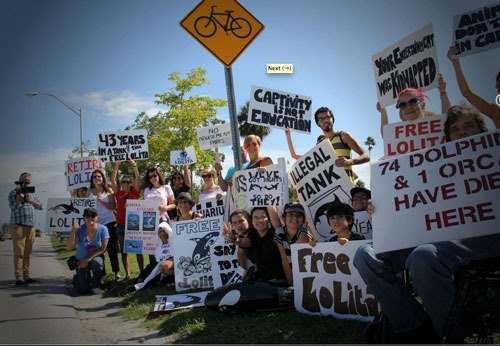 Protestors gathered in the streets outside Miami's Seaquarium