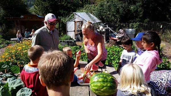 Robin and Norman share the lessons of melons from seed to fruit to seed.