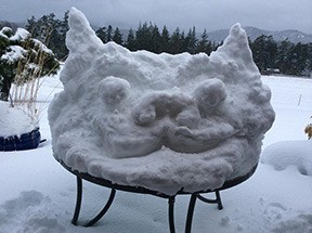 Mayor Fargo in the snow