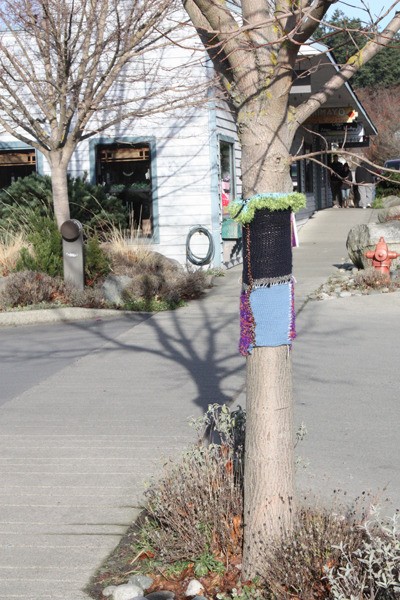 A tree sweater in Eastsound.