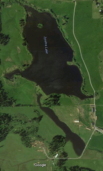 Google Satellite Imagery