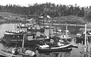 Purse seiners in Richardson