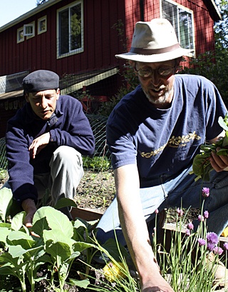 Didier Gincig (l) with Patrick Bennett (r) working in Didier’s garden.