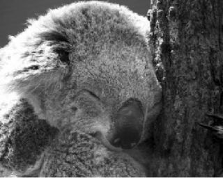 This photo was taken by Peter Kamin