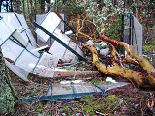 Wind damage