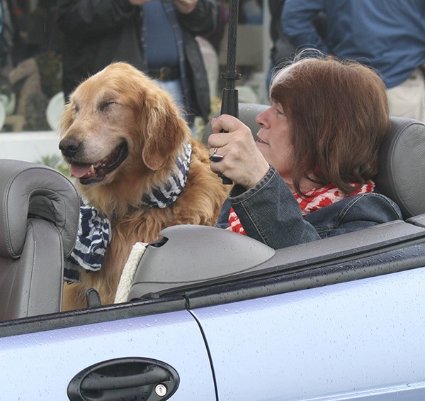 Jack with his owner Jill Curtiss.