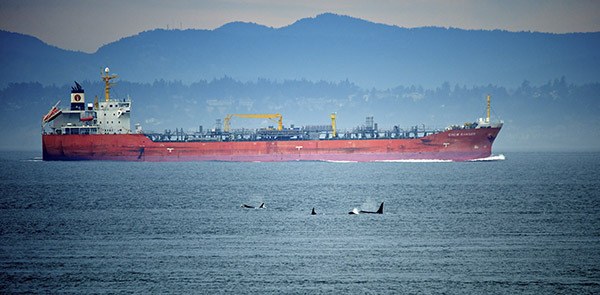 Orca whales and a tanker. The film “Directly Affected” will screen on June 10.