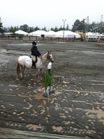 Mud and fun at the fair.