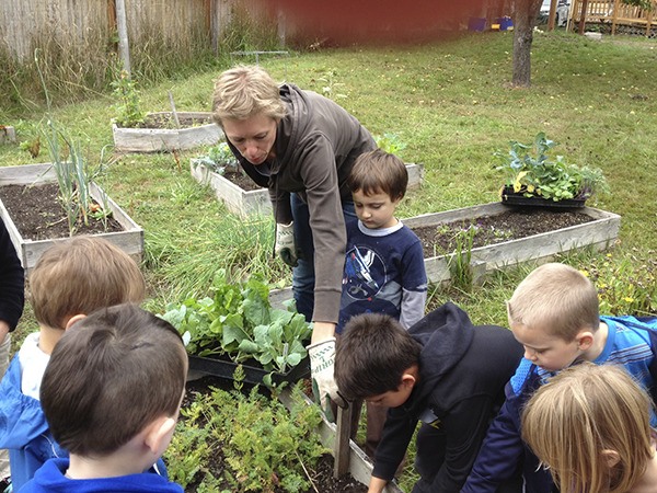 Orcas Montessori kids learning about gardening.