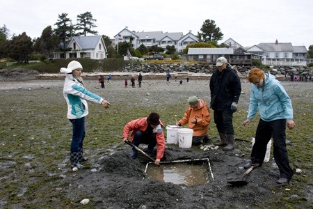 Indian Island Marine Health Observatory Field Research Days hosted “bivalve digs” on the lowest tide of the day.