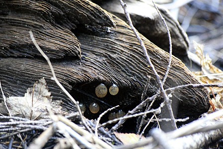 We took this image at Cascade Lake.