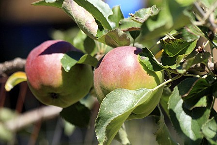 The festival will be island-hopping as it gathers steam