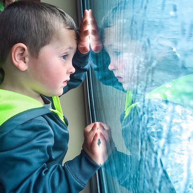 Case looks out a ferry window