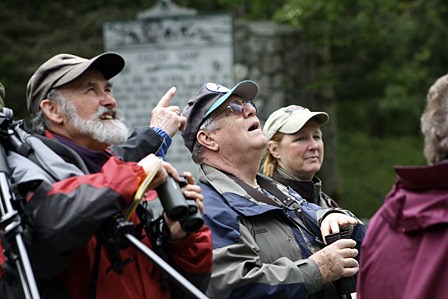 The song and sight of a Pacific Slope Flycatcher captures the attention of Audubon Soceiety members Brian Bell