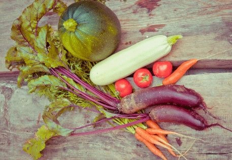 The Orcas Island Farm to Cafeteria Program has put together an innovative and exciting way to keep the school garden a vibrant outdoor classroom and healthy