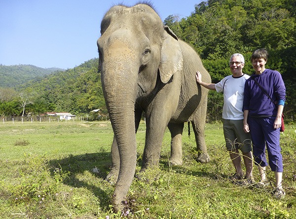 Orcas Islanders Tracy Harachi and Nathan Yoffa are pictured with one of the elephants at the sanctuary in Thailand.
