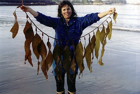 Jennifer Hahn will teach how to spot the 'food at your feet.'