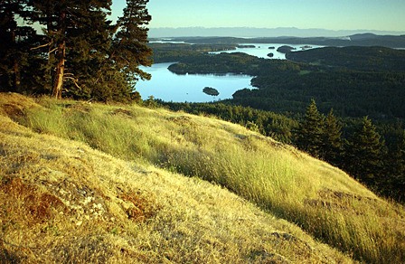 A view from Turtleback Mountain.
