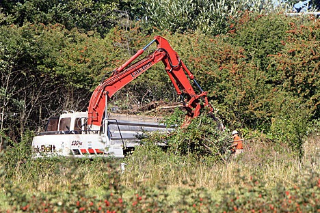 An excavator tears out existing shrubbery in preparation for the new constructed wetland installation.