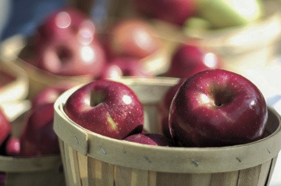 Organic apple crisp sale is coming soon