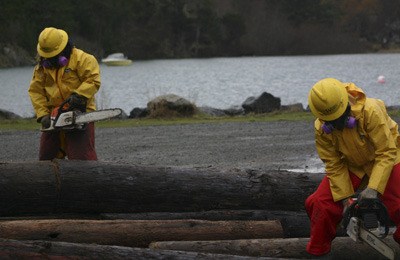 Members of the Puget Sound Conservation Corps working at San Juan's Jackson Beach.