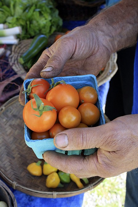 If the USDA disaster declaration is approved
