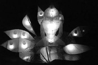 A Buddha made from wire and cellophane. One of the more than 1000 lanterns at 2008 Luminara Victoria.