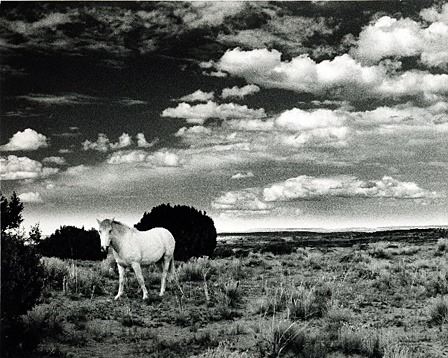 “Horse at Canyon de Chelly” by Jeff Otis.
