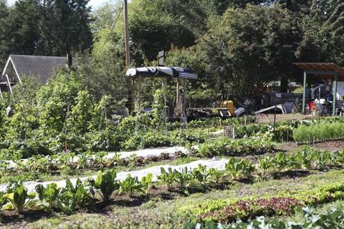 Orcas Garden Club’s tour will include lectures on island history and horticultural “how-to.” At George Orser’s Orcas Farm