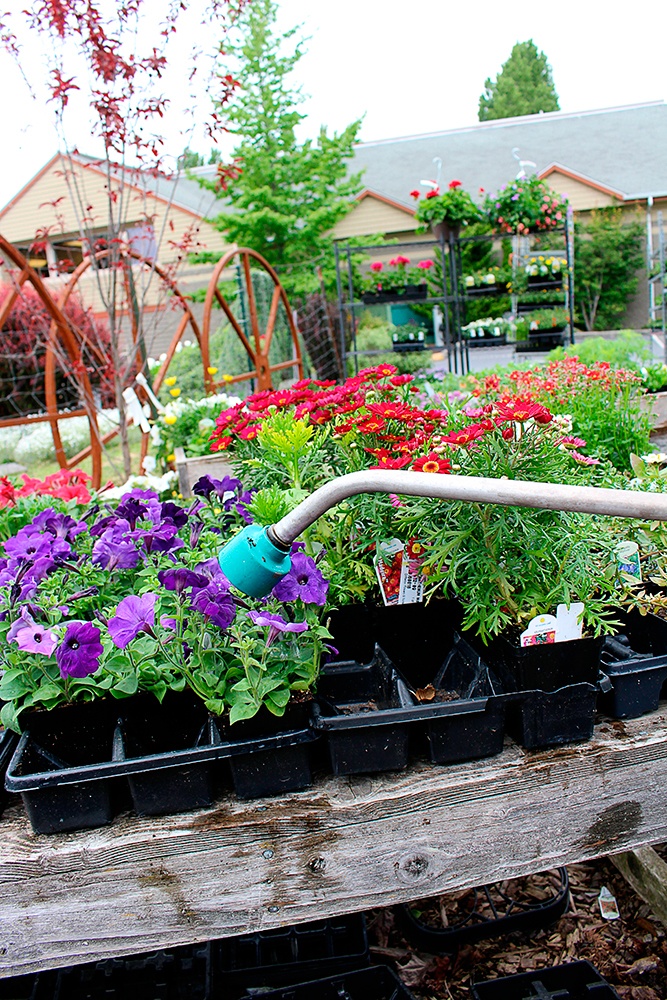 Eastsound businesses up in arms over water rate increase