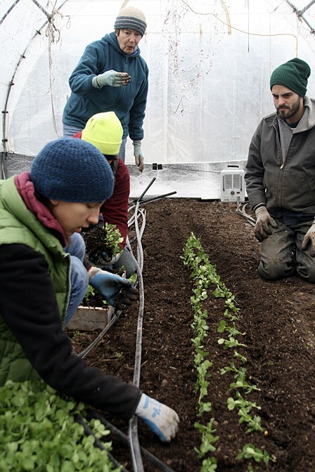 Clockwise: farmer Susan Corning (standing up)