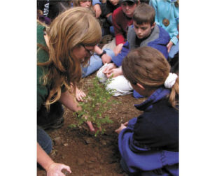Kids planting trees during a session of the Moran Outdoor School.