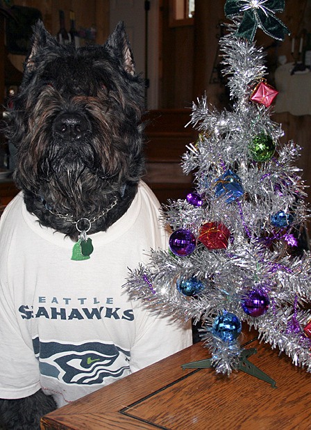 Kemo Sabe passed away in January.