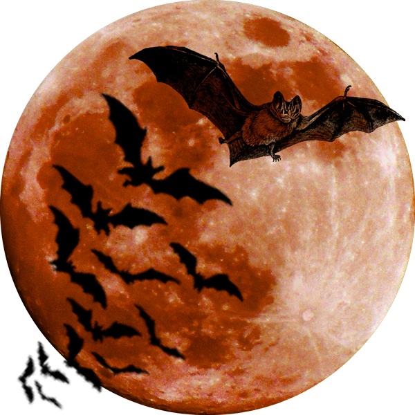 Halloween in Eastsound