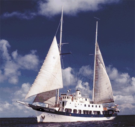 The “Yankee Trader.'