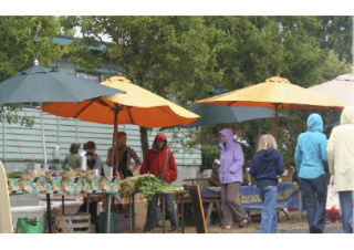A summer day at the Farmers’ Market sometimes brings rain. Ever notice how few umbrellas we sport