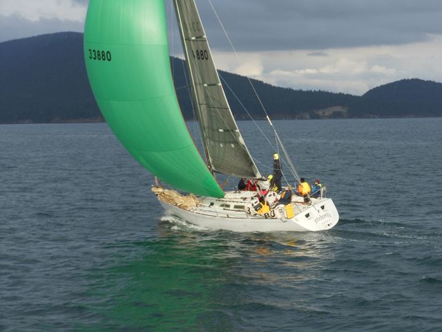 orca sailboat race
