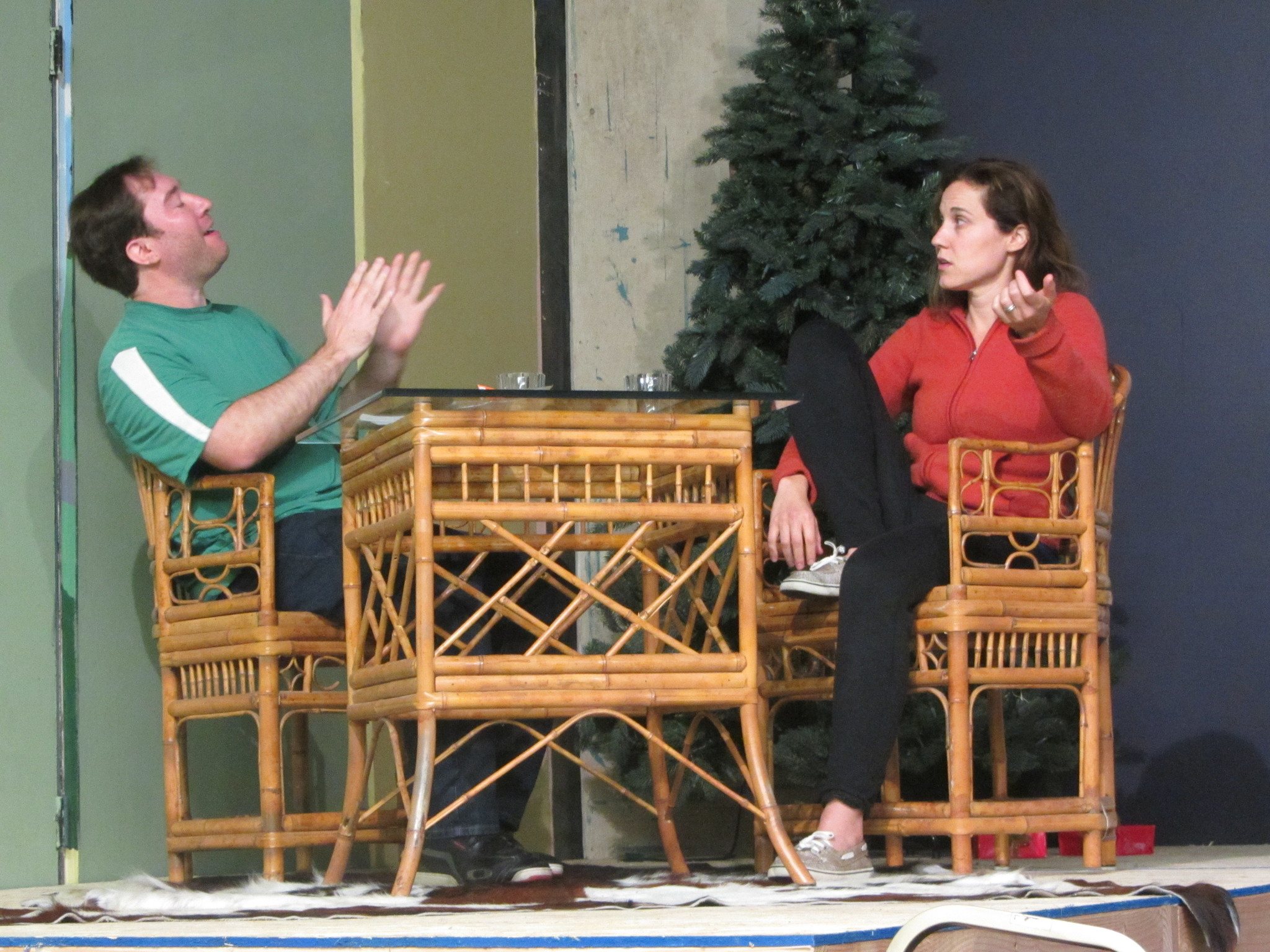 New play opens at the Grange: ‘Other Desert Cities’