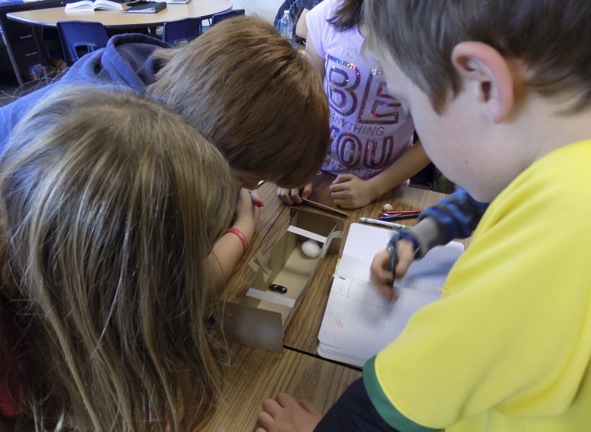 How nutritious are crickets? Local students explore edible insects