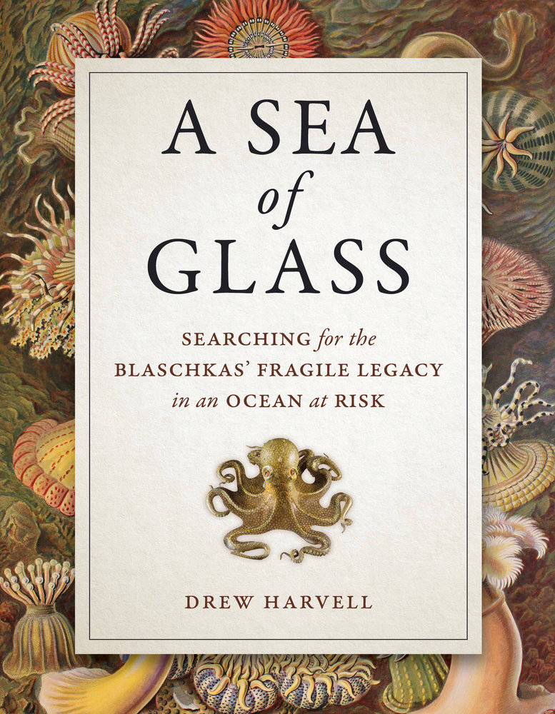 Drew Harvell discussing ‘A Sea of Glass’