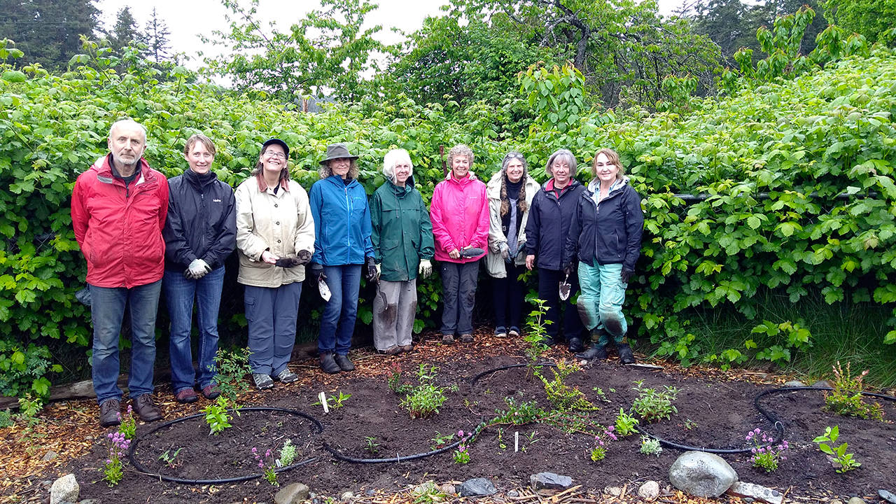 Native plant site in public school garden