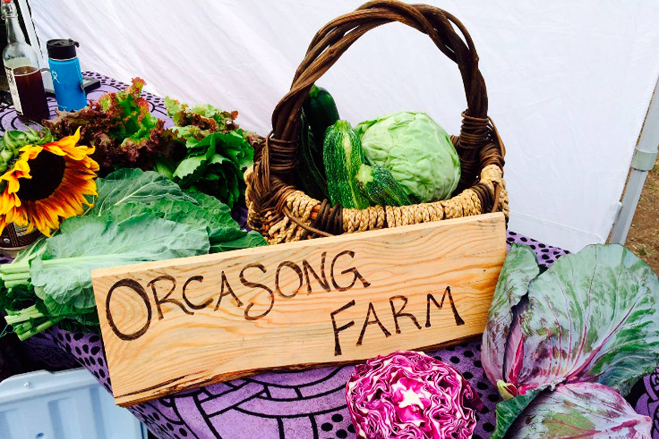 Elders in the garden class at Orcassong Farm